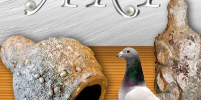 Artistic banner - Ceramics